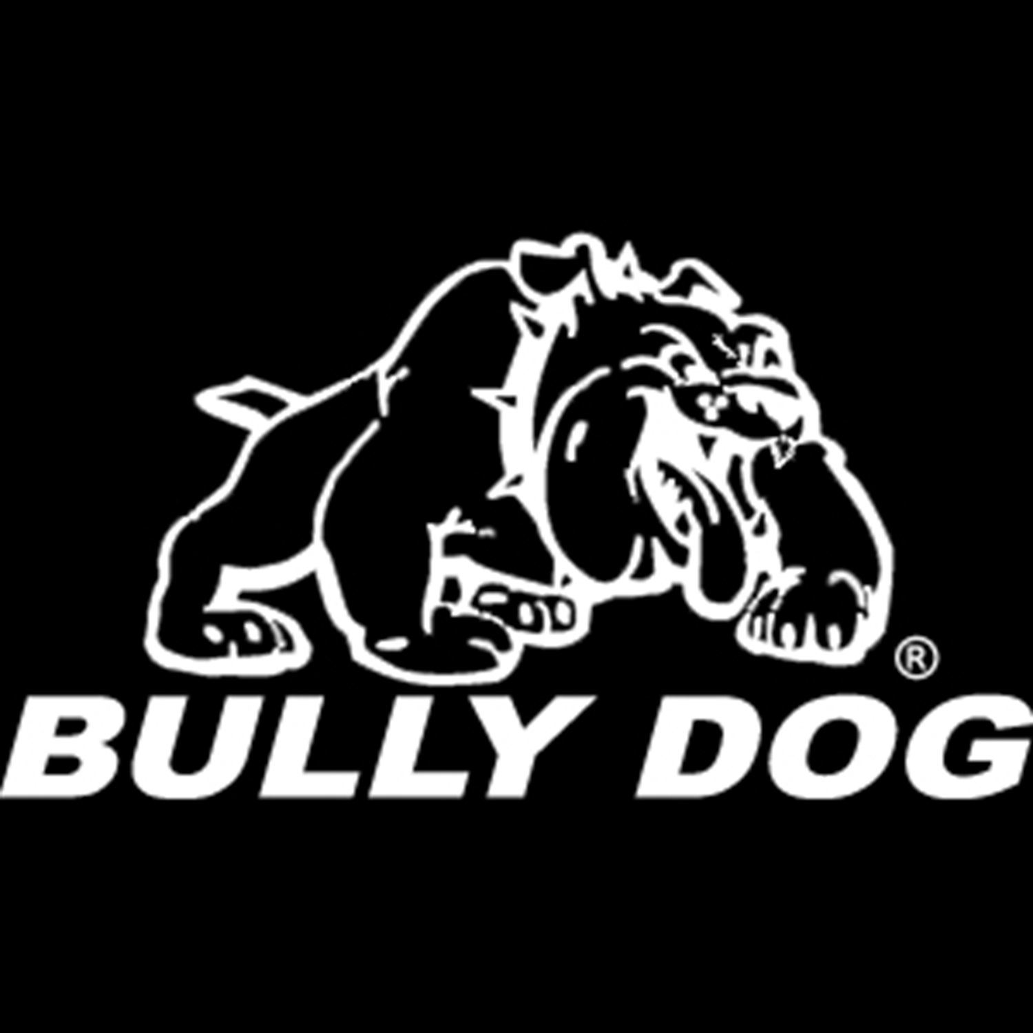Bully Dog Bully Dog PR4010 Window Sticker
