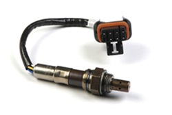 Holley Oxygen Sensor (534-194)