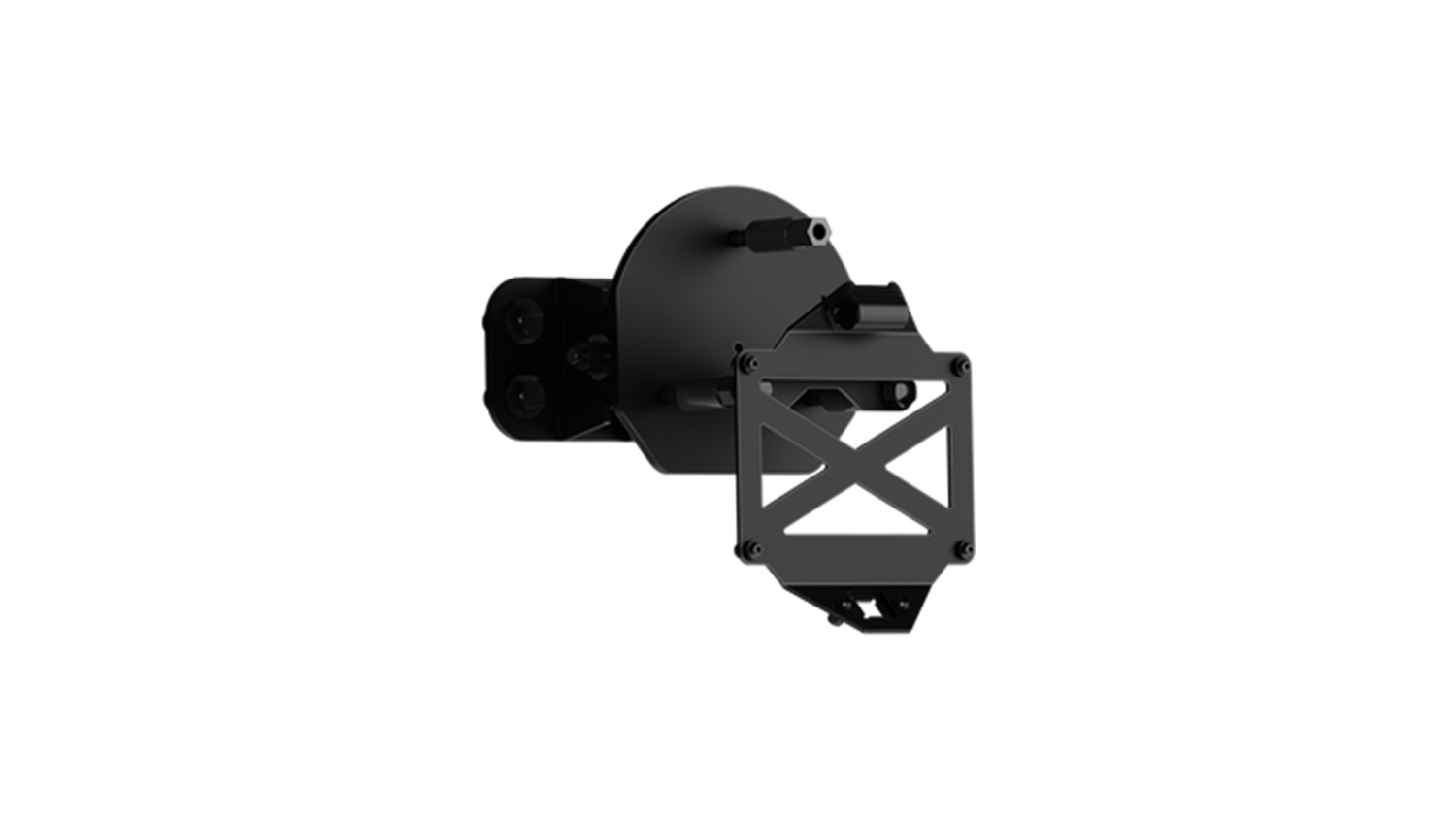 Pro Series II Tire Carrier 2