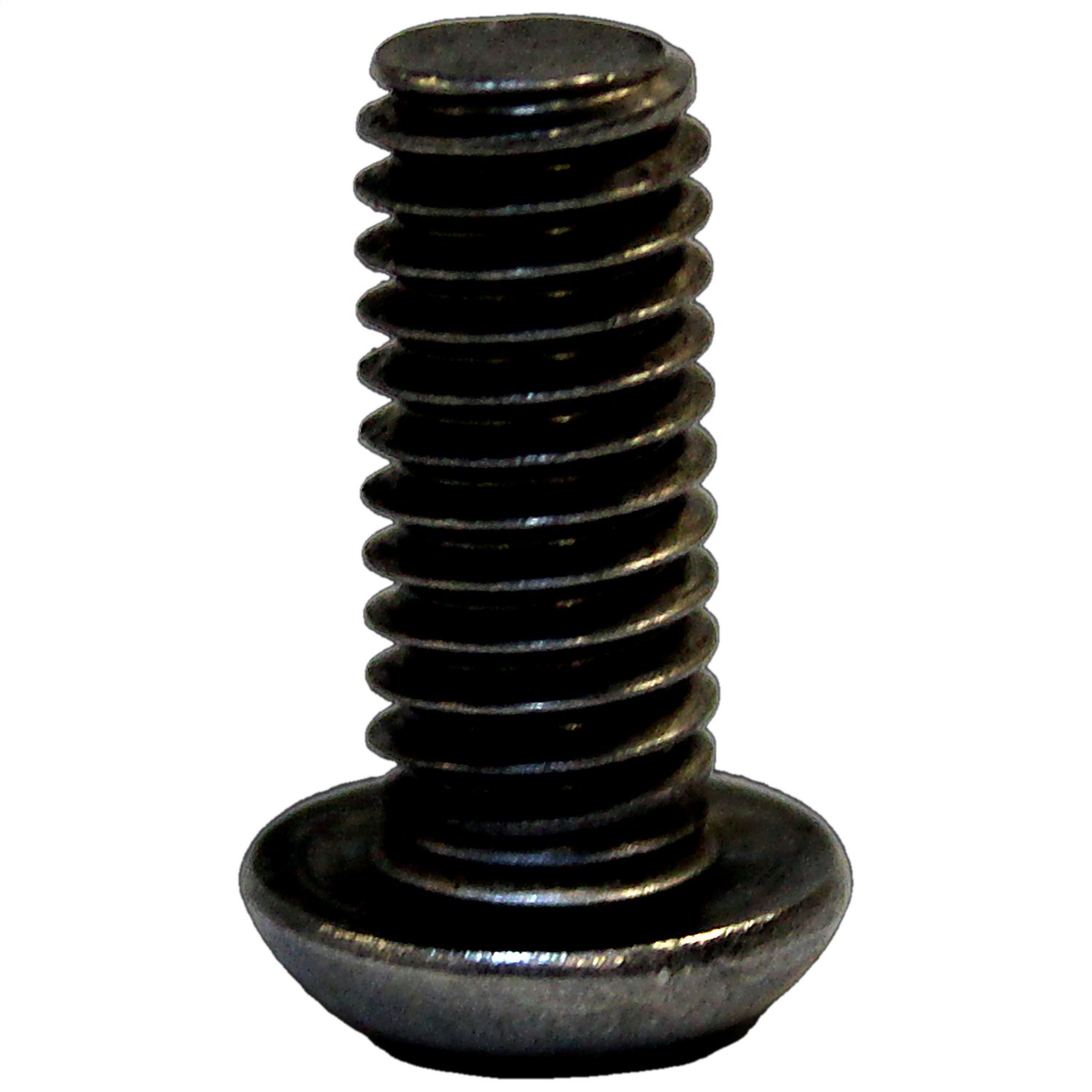 Crown Auto SS Torx Bolt