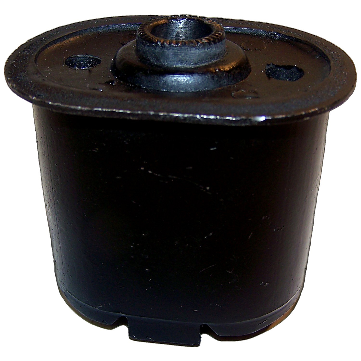 Rear Spring Pivot Bush 4