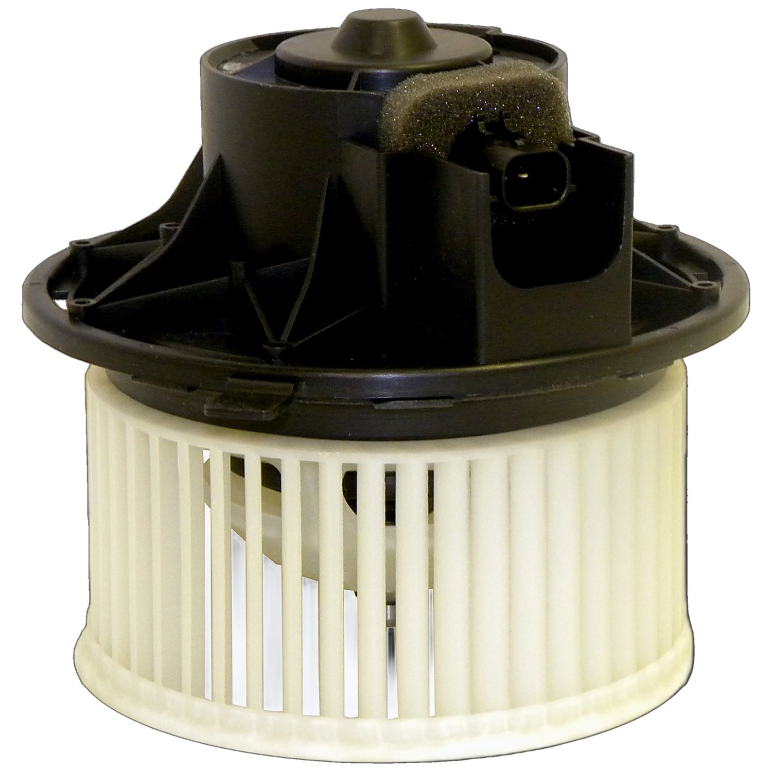 Blow Motor W/ Wheel 2