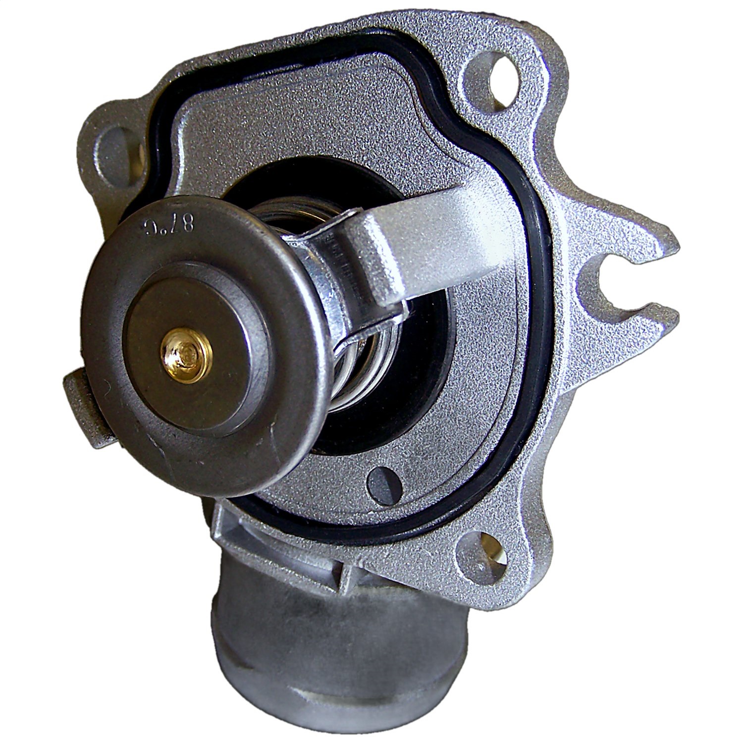 Thermostat W/ Housing 2