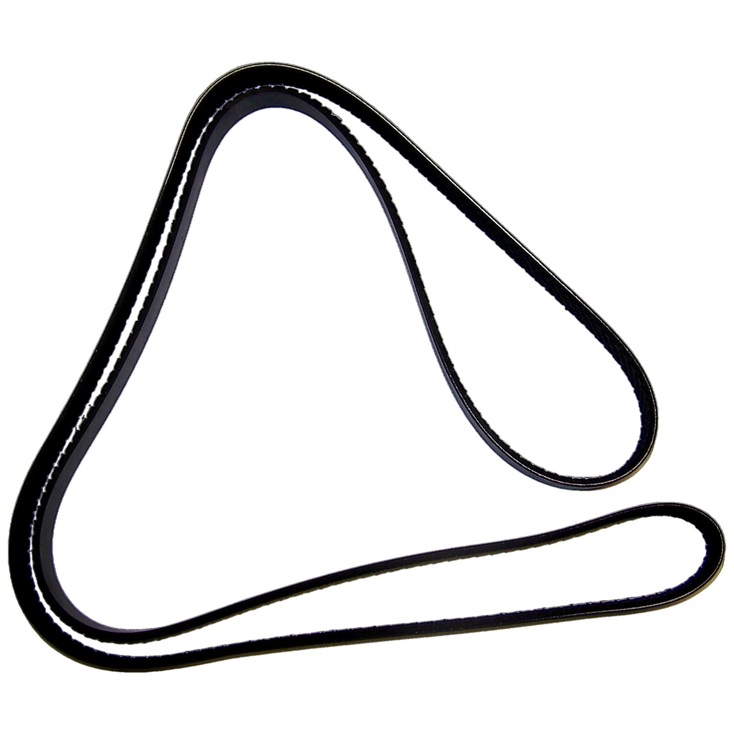Serpentine Belt 2