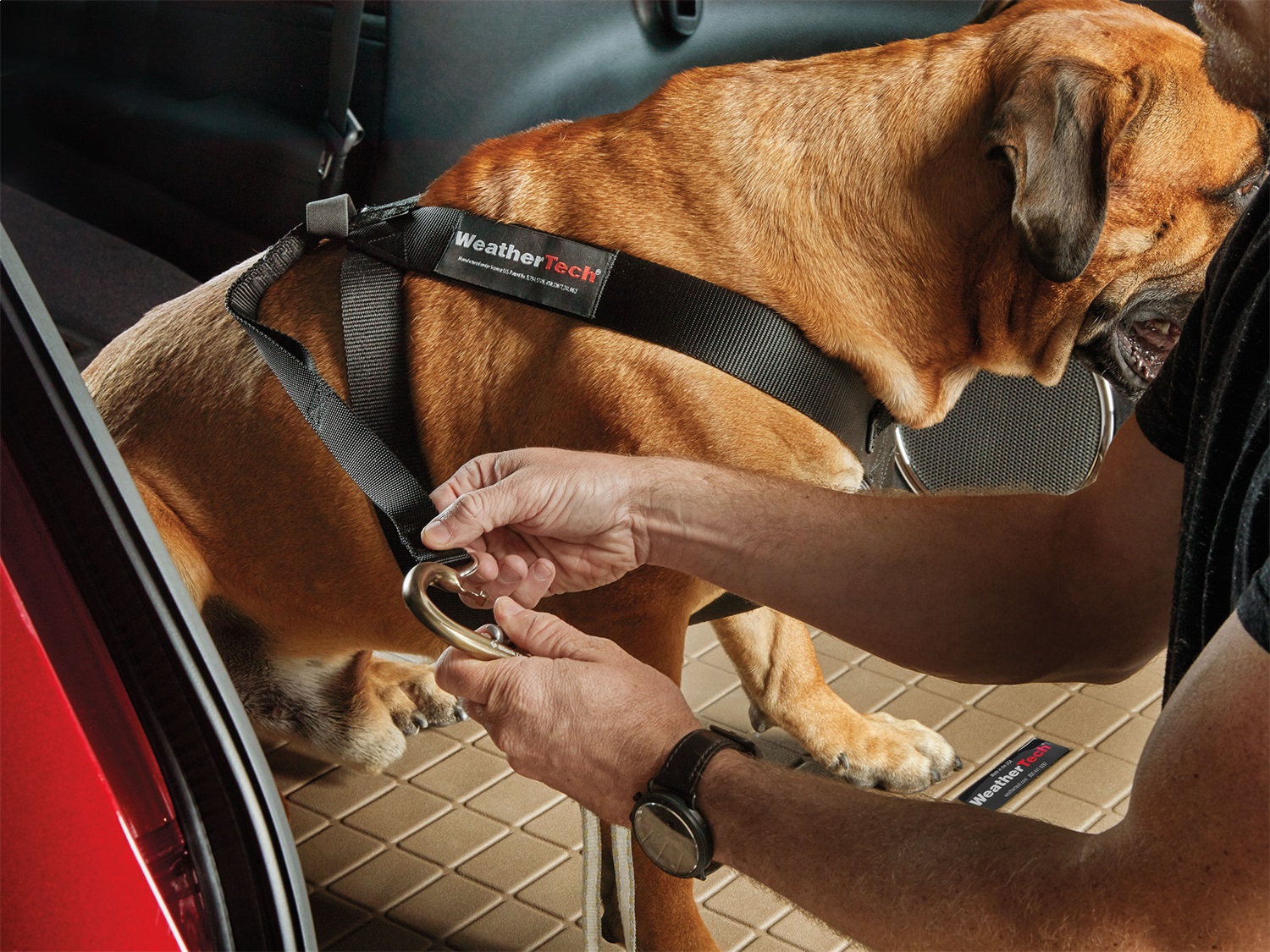 Weathertech - 84PH1318BK - Pet Restraint