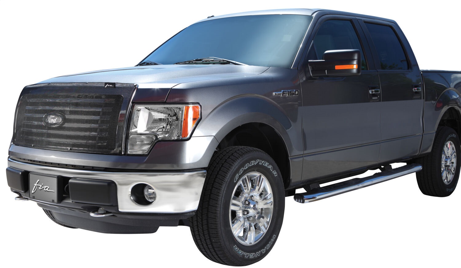 Bug Screen Ford F150 24